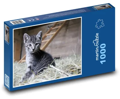 Obrázok produktu pre Puzzle 1000 Mačiatko na sene - martinpuzzle