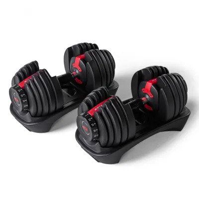 Image de Haltères SelectTech Bowflex 552i (la paire)