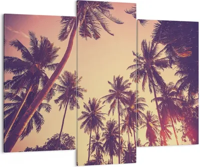 Produktbild von Bild auf Leinwand - Leinwandbild - 3 Teile - Palmen Himmel Sonne - 130x100cm - Wand Bild - Wanddeko - Wandbilder - Leinwanddruck - Bilder - Wanddekoration - Leinwand bilder - Wandbild - CB130x100-4220