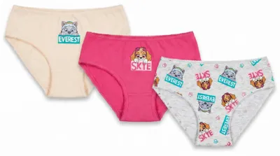 Produktbild von Paw Patrol Skye 3er Pack Slips Kinder Mädchen Unterwäsche Gr. 98-128 - 98/104, Bunt