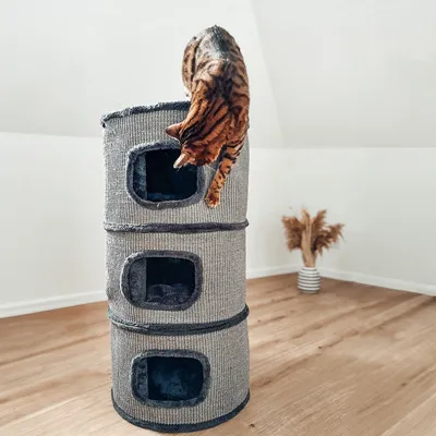Immagine prodotto di Tony | Tiragraffi per gatti | Lair | Gatto canadese | antracite | 45 x 45 x 90