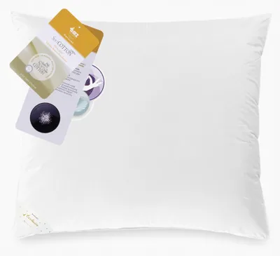 Produktbild von AMZ BASIC+ Daunenkissen 70x80cm 3-Kammer 90% Daunen