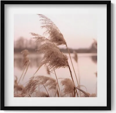 Produktbild von Romantische Landschaft aus Gräsern und See im Boho-Stil– Wandbild mit Rahmen – Gerahmtes Bild  – Wanddekoration – 50x50 cm –  Schwarz Rahmen
