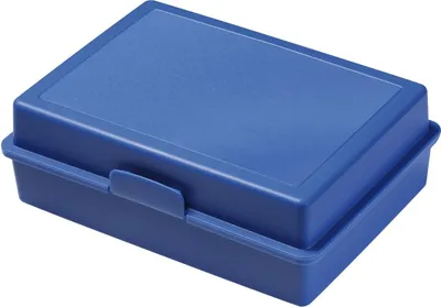 Immagine prodotto di Scatola per il pranzo "Picnic" per bambini - Spaziosa scatola per il pranzo, senza BPA e  Germany, ideale come scatola per il pranzo a scuola e nel tempo libero - PP blu standard
