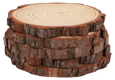 Obrázek produktu pro Kruhové kousky kmene – neošetřené dřevo – 5 kusů – Ø 12–14 cm – s kůrou – pro kutilství, ruční práce, malování a svatební dekorace