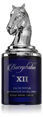 Obrázek produktu pro Armaf Bucephalus No. XII EDP 100 ml M, productTiles.product.images.aiGenerated
