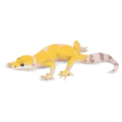 Produktbild von Toymany ML00308 Leopardgecko 8,4 cm Reptilienreich