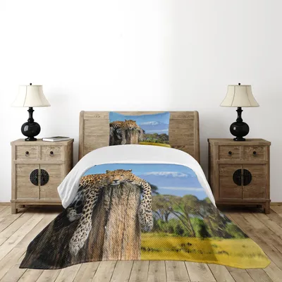 Immagine prodotto di Set copriletto ABAKUHAUS Africa, leopardo seduto su un ramo di un albero con panorama del Kilimangiaro sullo sfondo, 170 x 220 cm, blu chiaro