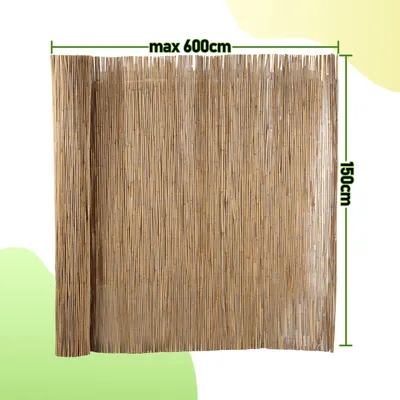 Produktbild von TolleTour Schilfrohrmatte 150x600cm Schilfmatte Sichtschutzmatte Windschutz Sichtschutz für Balkon, Garten, Terrasse