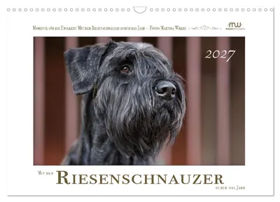 Produktbild von Mit dem Riesenschnauzer durch das Jahr (Wandkalender 2027 DIN A3 quer), CALVENDO Monatskalender