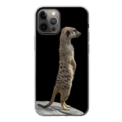 Produktbild von MuchoWow® Handyhülle Schutzhülle Hülle für iPhone 12 Pro Erdmännchen - Wilde Tiere - Schwarz Silikon Softcase Handy Hülle - Abdeckung