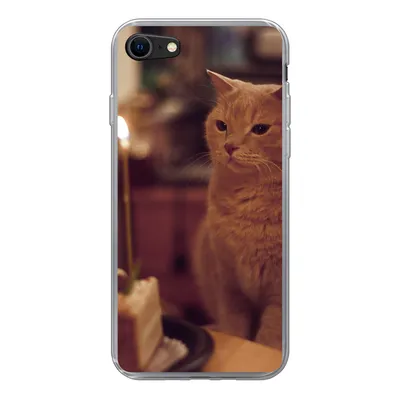 Produktbild von MuchoWow® Handyhülle Schutzhülle Hülle für iPhone SE 2020 Katze - Geburtstag - Kerze Silikon Softcase Handy Hülle - Kartenbesitzer