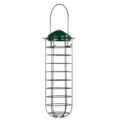A green bird feeder hanging from a wire handle.