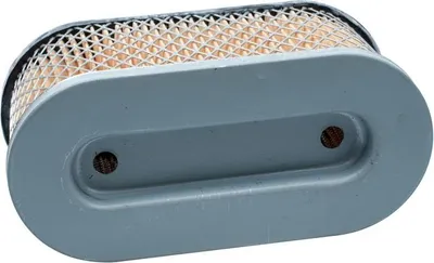 Obrázek produktu pro Vzduchový filtr B&S 5,5HP OHV VANGUARD vertikální hřídel 8R01-06