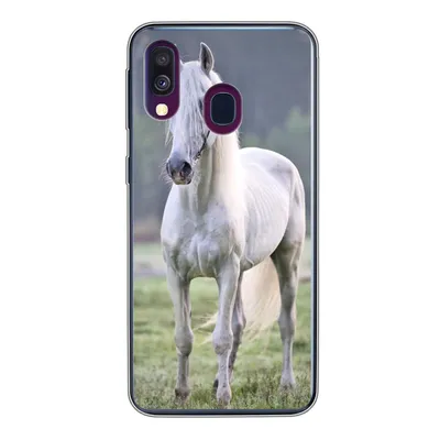 Produktbild von MuchoWow® Handyhülle Schutzhülle Hülle für Samsung Galaxy A40 Pferd - Licht - Morgen Silikon Softcase Handy Hülle - Handy-Tasche
