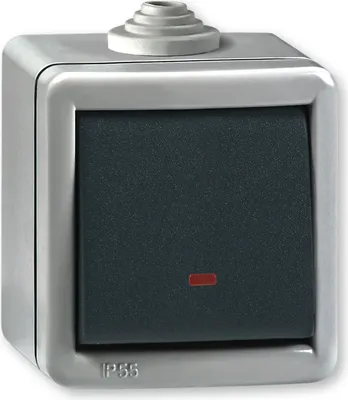 Produktbild von Wechselschalter Grau mit Glimmlampe IP 55 (Metallausführung)