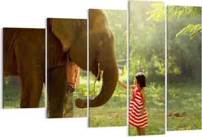 Produktbild von Bild auf Leinwand - Leinwandbild - Elefant Tier - 150x100cm - Wand Bild - Wanddeko - Wandbilder - Leinwanddruck - Bilder - Kunstdruck - Wanddekoration - Leinwand bilder - Wandkunst - EG150x100-3884