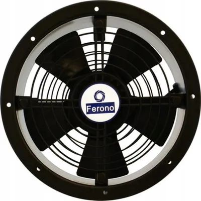 Image de Ventilateur axial FKO 250