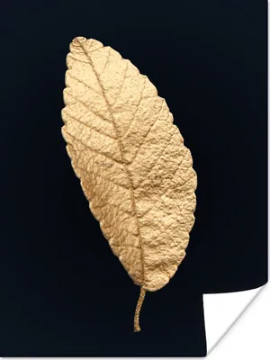 Produktbild von MuchoWow® Poster Schwarz und Gold - Blätter - Schwarz - Pflanzen - Luxus 90x120 cm - Wohnzimmer