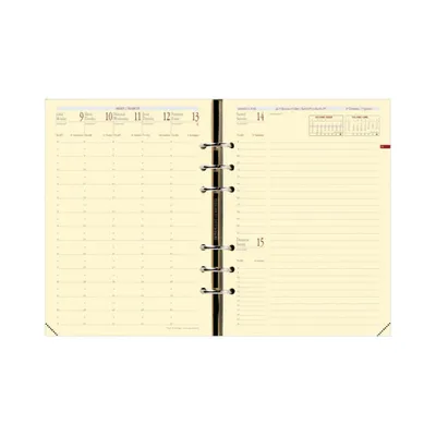 Immagine prodotto di QUO VADIS 938004Q QUO VADIS Ricarica per agenda Timer 14 Orizzontale