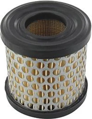 Immagine prodotto di Filtro aria adattabile per Briggs & Stratton: serie 60100, 80200, 80300, 80400, 81200, 81300, 81400, 92900, 93500, 110900, 112