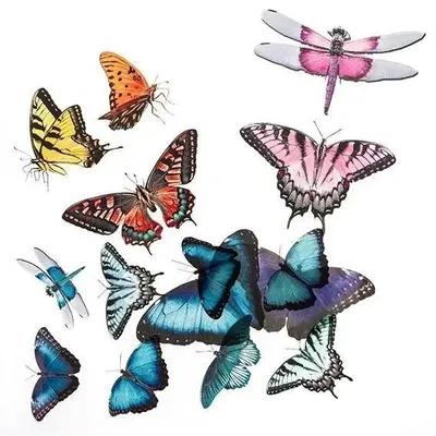 Image de Stickers PVC - DPCraft - Papillons