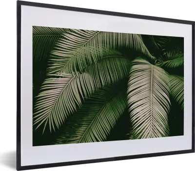 Produktbild von MuchoWow® Gerahmtes Poster Palmwedel - Sommer - Tropisch 40x30 cm - Poster mit Schwarzem Bilderrahmen Wandposter Rahmen Foto Bilder - Bilderrahmen - Poster im Rahmen
