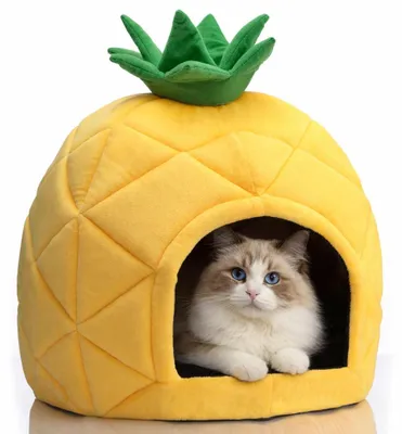 Image de Lit douillet pour animaux de compagnie, forme de grotte, nid de couchage en forme d'ananas, maison pour chiots, idéal pour les chats