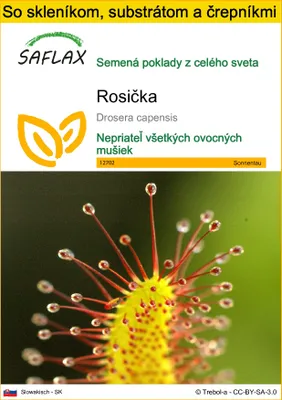 Obrázok produktu pre SAFLAX Kultivačný set - rosička - Drosera capensis - 200 Semená - S mini skleníkom, pestovateľským substrátom a 2 črepníkmi