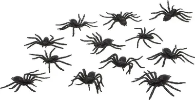 Image de ATOSA - Lot de 12 araignées