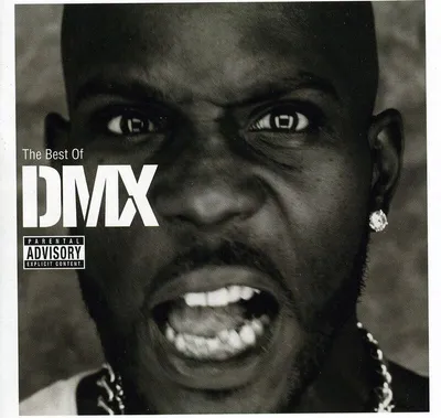 Image de Best Of Dmx