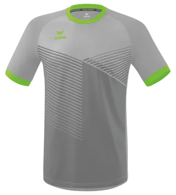 Produktbild von Erima Mantua Jersey Silbergrau/grüner Gecko