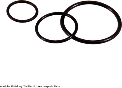 Produktbild von LAPP SKINDICHT O-RING M25/22x2 53102030 Dichtring
