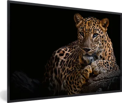 Produktbild von MuchoWow® Gerahmtes Poster Wildtiere - Panther - Porträt - Schwarz - Tiere 90x60 cm - Poster mit Schwarzem Bilderrahmen Wandposter Rahmen Foto Bilder - Fotorahmen - Foto-Plakat