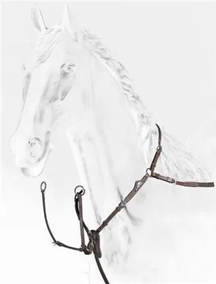 Produktbild von Equiline Vorderzeug breastplate with double regulation Leder schwarz, Größe Pferd:Full