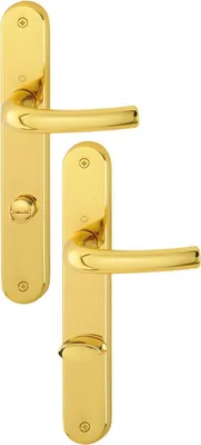 Produktbild von Langschildgarnitur Tôkyô M1710RH/265 MS F71 SK/OL 78mm DIN L/R HOPPE