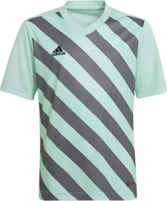 Produktbild von Adidas Tshirts Entrada 22 Graphic Jersey, HF0127, Größe: 111