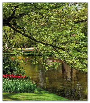 Produktbild von Wallario Herdabdeckplatte aus Glas, Größe 52 x 60 cm 1-teilig, Motiv Bunte Blumen im Park am Wasser - Frühblüher am Ufer