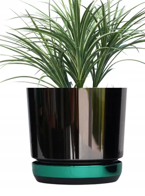 Produktbild von Kerd DUO Blumenübertopf Schwarz-Grün 18 cm modern