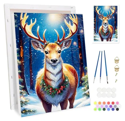 Image de Kit de peinture par numéros pour adultes, avec cadre en bois