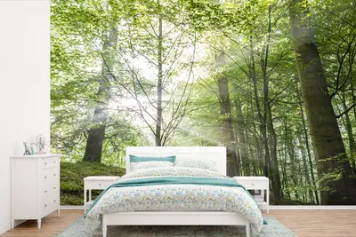 Produktbild von MuchoWow® Fototapete für Wohnzimmer oder Schlafzimmer Wandtapete Vinyl Motivtapete Wald - Bäume - Sonne - 450x300 cm - Gemusterte