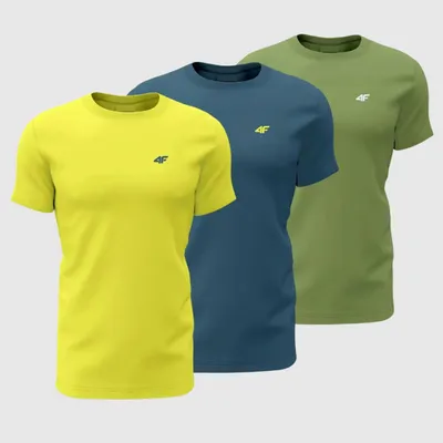 Zdjęcie produktu dla T-shirt męski (ZESTAW KOSZULEK 3 SZT.) 4F 4FWSS26TTSHM4217-90S-XXL