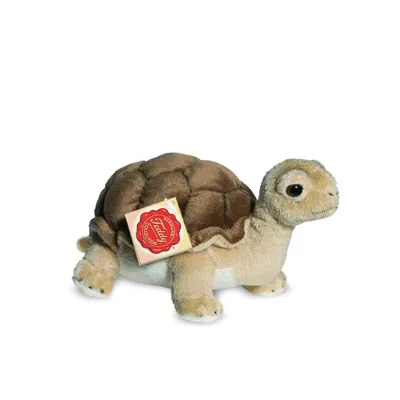 Produktbild von Schildkröte, ca. 20 cm, 1Stück