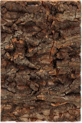 Zdjęcie produktu dla REPTI PLANET tło z naturalnego korka 19x27,3x2cm do terrarium