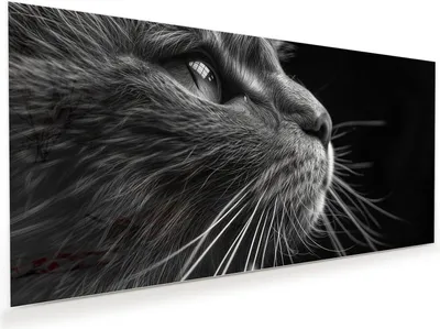 Produktbild von Glasbild 120x60cm in XXL für Wohnzimmer, Schlafzimmer Motiv Nahaufnahme Katze