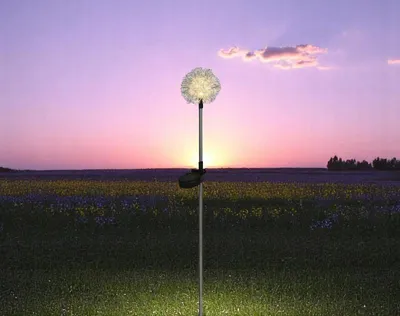Image de Prise solaire pissenlit
