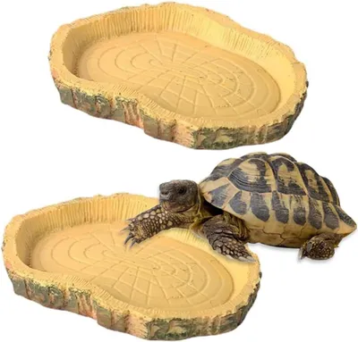 Produktbild von 2 Schalen für Schildkröten, Wasser, Reptilien, Amphibien, Eidechsen, Frösche, Geckos