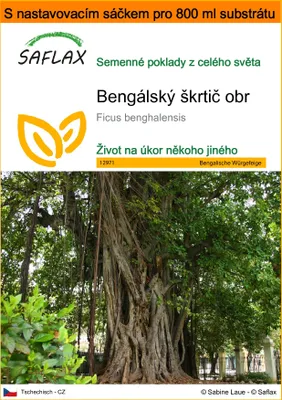 Obrázek produktu pro SAFLAX Garden in the bag - Bengálský škrtič obr - Ficus benghalensis - 20 Semena - S pěstebním substrátem v praktickém samovztyčovacím sáčku
