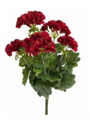 Image de EUROPALMS Géranium, artificiel, rouge foncé, 42cm (82600112)