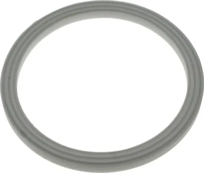 Produktbild von Philips 996510069455 Dichtung für HR2989 HR2990 HR2991 HR2992...Standmixer